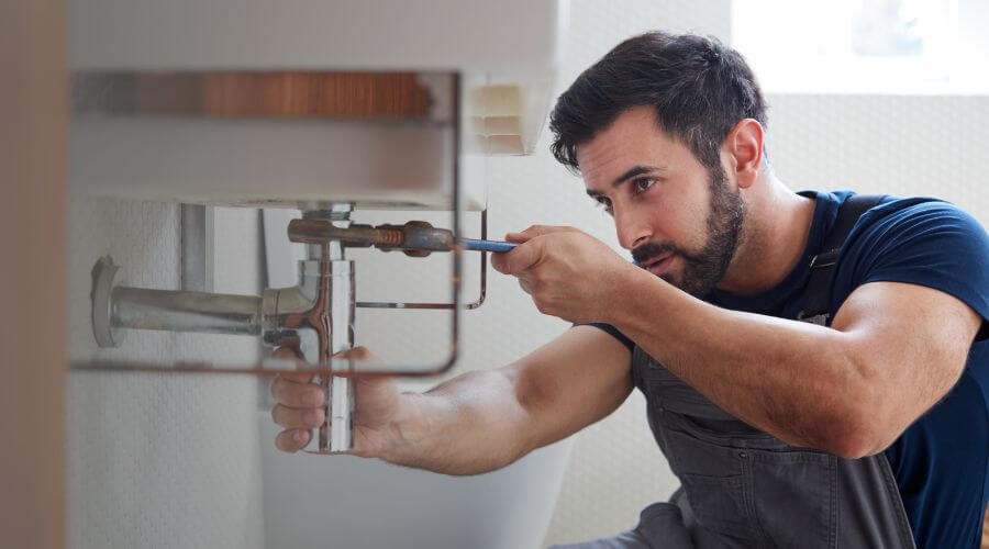 Trap Repair/Replacement in Georgetown, DE